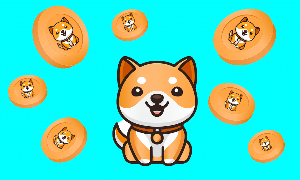 Future Of Shiba Inu Coin