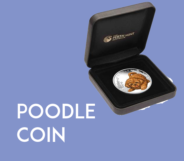 Is It Safe To Invest In A Poodle Coin?